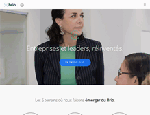 Tablet Screenshot of brioconseils.com